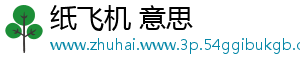 纸飞机 意思